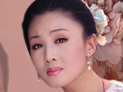 韩再芬的个人作品